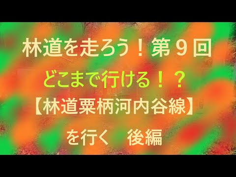 『林道を走ろう！』第９回　林道粟柄河内谷線を行く後編