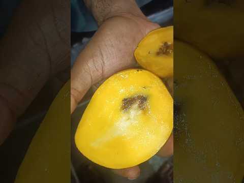 is your mango artificially ripe? 🚫⚠️😱 #mango #viral # #india #shorts Open the morning and see2024