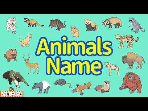 Animals Name | Talking Flashcards | Video for Kids | フラッシュカードで動物の名前をおぼえよう！②英語知育アニメ