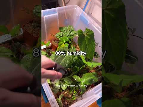 Plant propagation bin for my bountiful crops #howto