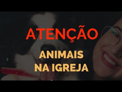 Animal de estimação na igreja