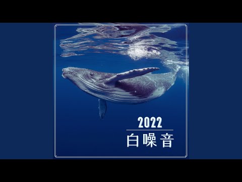 2022 白噪音