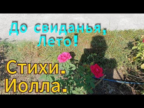 Лето, до свиданья! Стихи и музыка автора Иолла 💝