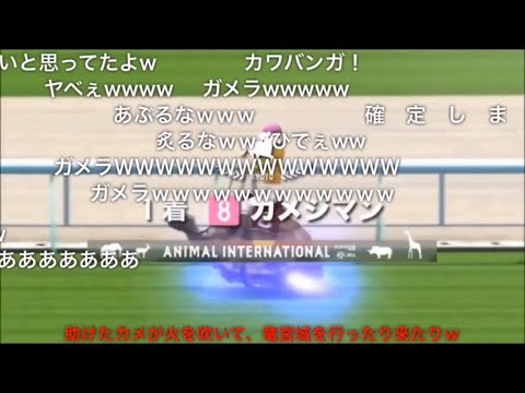 【コメ付き】JAPAN WORLD CUP 3 〜第4レースー4〜 (60FPS)