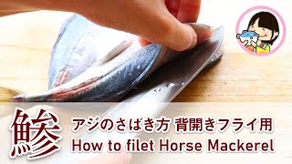 [Clean a Fish] How to filet Horse Mackerel アジのさばき方 アジフライ用 背開き