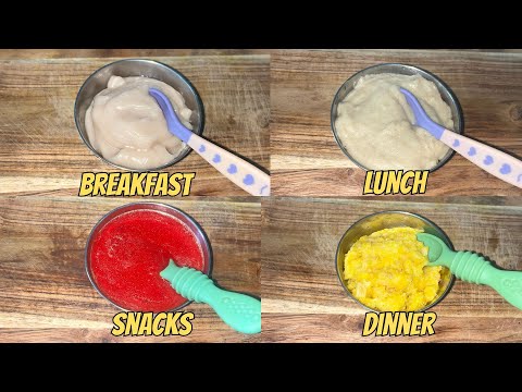 Baby Food Recipes For 7 Months Above | 1 Day Meal Plan | Quick and Healthy Baby Food Recipes