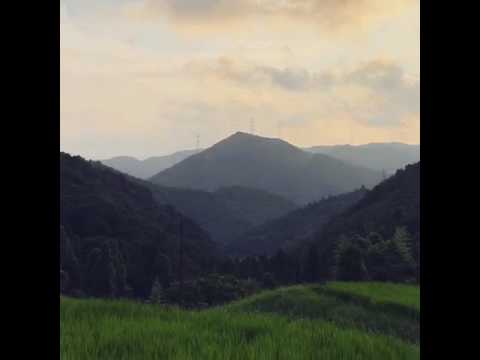 早朝 上山の田んぼ