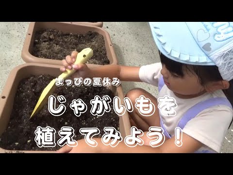 じゃがいもを植えてみよう！