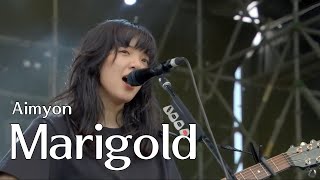 [LIVE] 아이묭(あいみょん) - Marigold