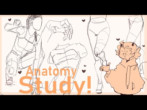 Anatomy Studies|| Study with me