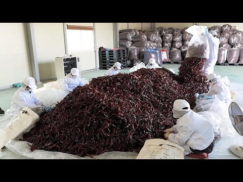 Korean Food Factories Amazing Mass Production Collection