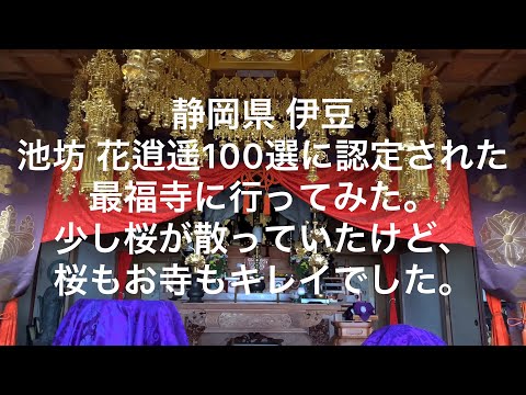 【静岡】【伊豆】池坊 花逍遥100選に認定された最福寺に行ってみた。少し桜が散っていたけど、桜もお寺もキレイでした。【shizuoka】【izu】