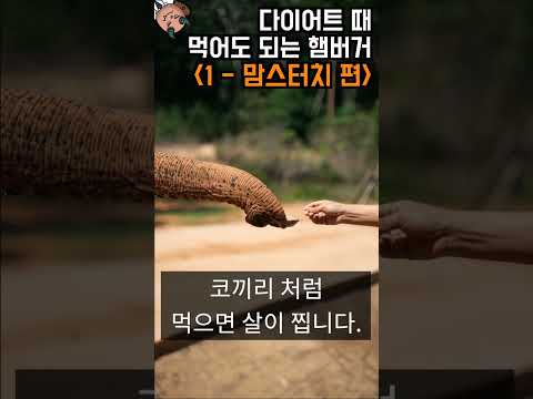 다이어트 때 먹어도 되는 햄버거 - 맘스터치 (2023)