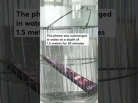 Samsung Galaxy S24 Water Submersion Test #shorts