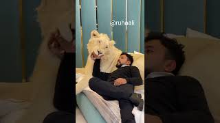 Dubai sheikh with Lion || Dubai life style