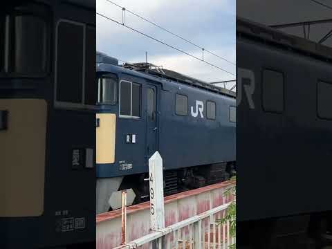 EF66&EF64 #jr #鉄道 #電車