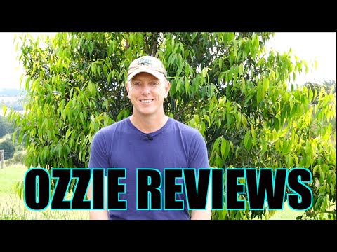 Ozzie Reviews Q & A - Episode #61 (new gun bags available!)