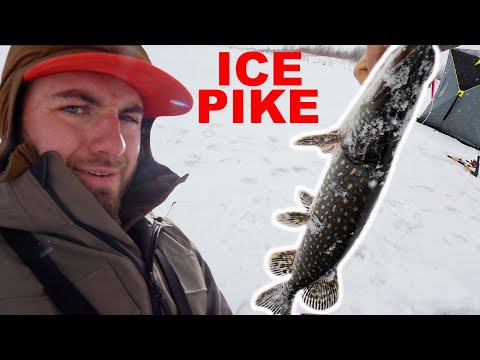 ICE Fishing For PIKE And TROUT {Catch Clean Cook}