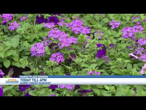 GDM: Darby Creek Nursery - Flower Power Happy Hour 042420