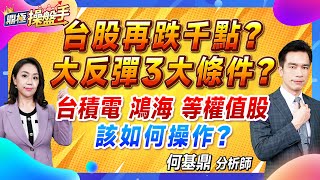 2024.07.19【台股再跌千點？ 大反彈三大條件？ 台積電、鴻海等權值股該如何操作？】#鼎極操盤手 何基鼎分析師