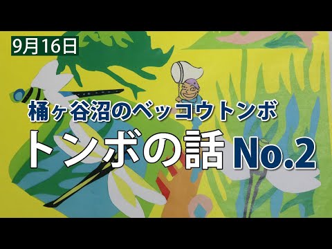 桶ヶ谷沼のベッコウトンボ【トンボの話No.2】