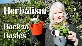 Herbalism - Back to Basics