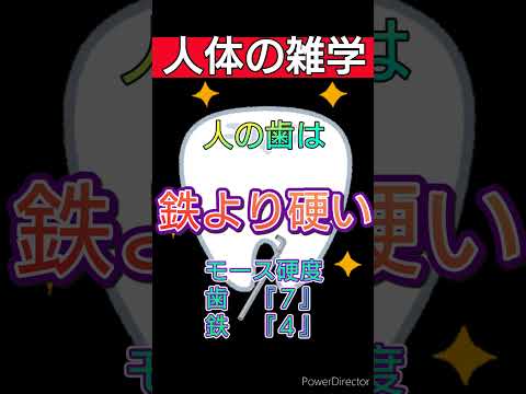 人の身体の雑学 #役に立つ雑学 #雑学 #人体の不思議