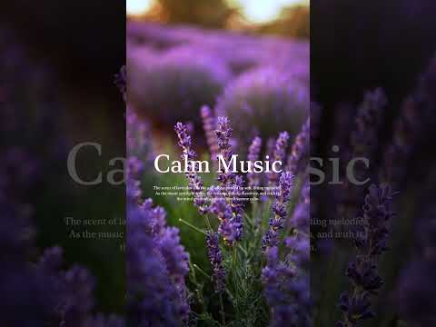 Calm Music-purple #calm #relaxingmusic