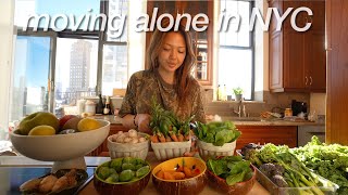 grocery shopping at the farmers market + flea market in central park | MOVING ALONE IN NYC ep.2