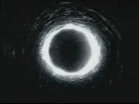 The Cursed Ring Video (2002 VHS)