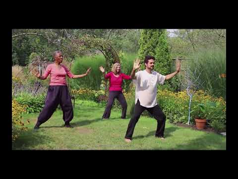 Fire Element Qigong - Sparking Joy