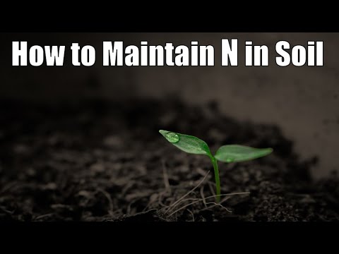 How to Maintain Nitrogen levels in Soil