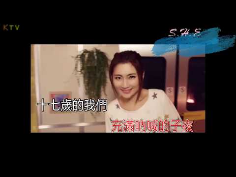 【MV】S.H.E 《十七》歌词版