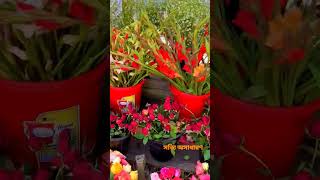 Very beautiful flower garlands#happy #photography #flowers #viral #video #reels #cute #instalike