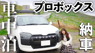 【プロボックス】社用車をカスタムして車中泊を快適にしてみた！【カーテンDIY】