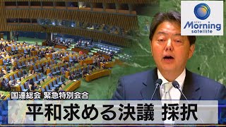 国連総会 緊急特別会合　平和求める決議 採択【モーサテ】（2023年2月24日）