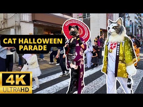 TOKYO, JAPAN 🇯🇵 [4K] Cat Halloween Parade — BAKE NEKO Festival — OCTOBER 2024