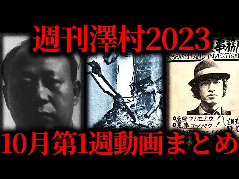 【週刊澤村2023】10月第1週たっくー動画まとめ【たっくー切り抜き】