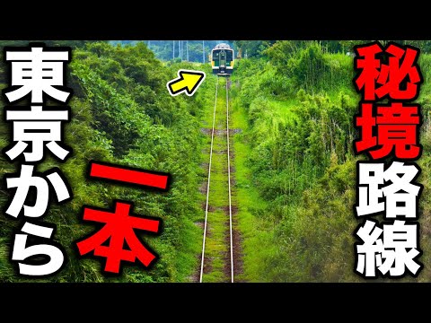 東京駅から1本でいける！知られざる『隠れ秘境路線』がスゴいww