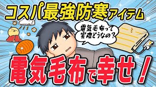 【2ch有益スレ】節約防寒アイテム・電気毛布って実際どうなの？教えて！