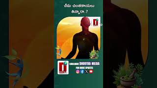 చీమ చింతకాయలు తిన్నారా..?|| DHOOTHA MEDIA#cheemachintakaya #healthtipsintelugu #health #trending