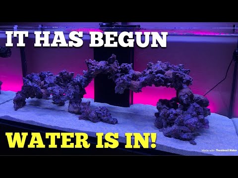 Filling WaterBox 180 + Qt update