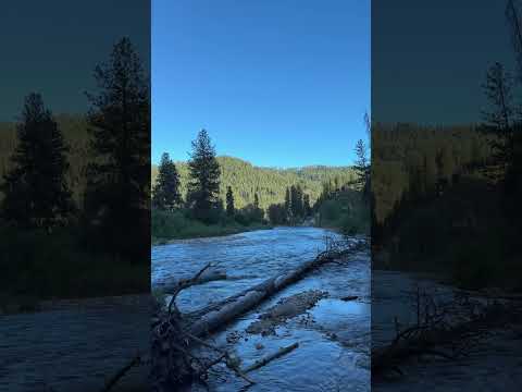 Come Sit By The River With Me #asmr #river #camping #riverside