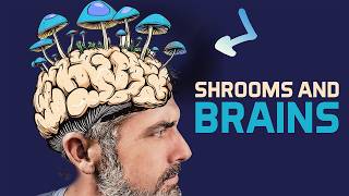 Your Brain on Mushrooms (The Science Explained)