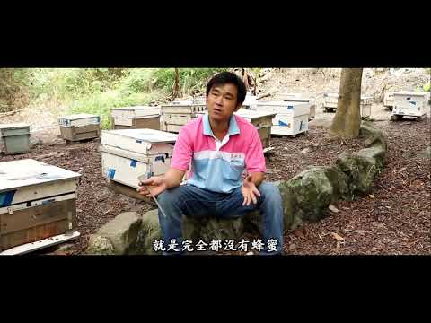 陳興旺養蜂場-訪談篇(上)