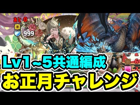 【ネロミェール】お正月チャレンジLv1~5 クリア共通編成・立ち回り紹介！！【パズル&ドラゴンズ/#パズドラ】