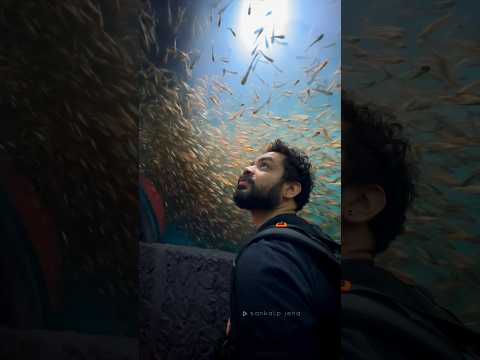 First underwater aquarium of Odisha. #shorts #shortsindia  #shortsvideo #viral #odisha #balijatra