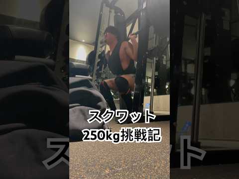 ヨネのスクワット250kg挑戦記‼️シャイニーより強いヨネ