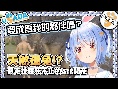 夥伴活不到三分鐘的佩克拉Ark開荒第一天【兎田ぺこら】【Vtuber中文翻譯】