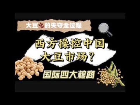 「粮食危机？」西方操控中国大豆市场？四大粮商如何操控国际价格？中国为何没有大豆定价权？一起来看看吧